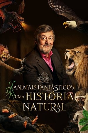 Capa do filme Animais Fantásticos: Uma História Natural