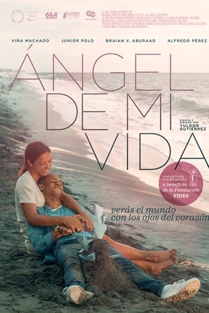 Capa do filme Anjo Da Minha Vida