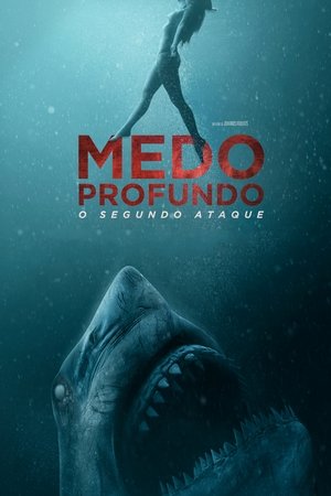 Capa do filme Medo Profundo: O Segundo Ataque