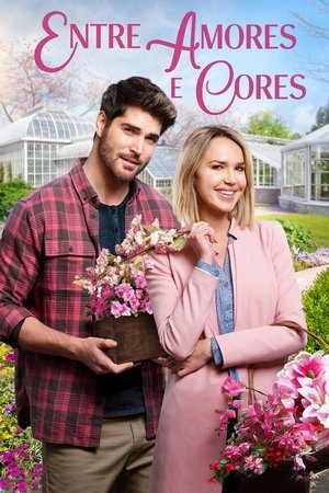 Capa do filme Entre Amores e Cores