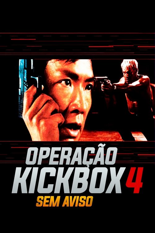 Capa do filme Operação Kickbox 4: Sem Aviso
