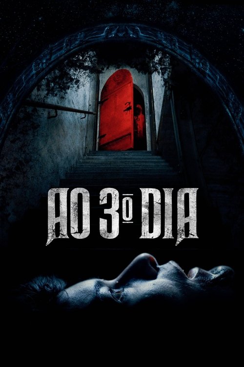 Capa do filme Ao 3º Dia