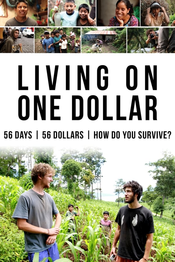 Capa do filme Vivendo Com Um Dólar