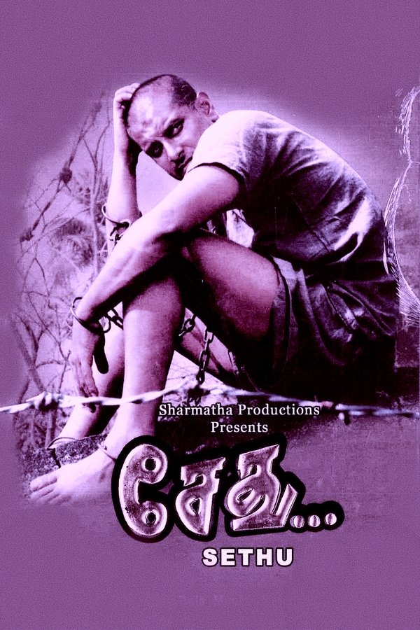 Capa do filme Sethu