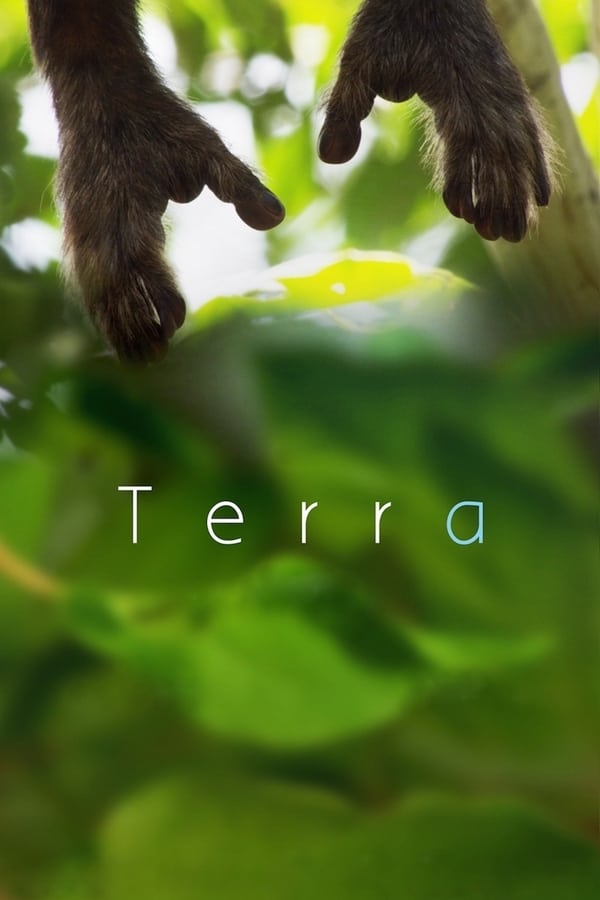 Capa do filme Terra