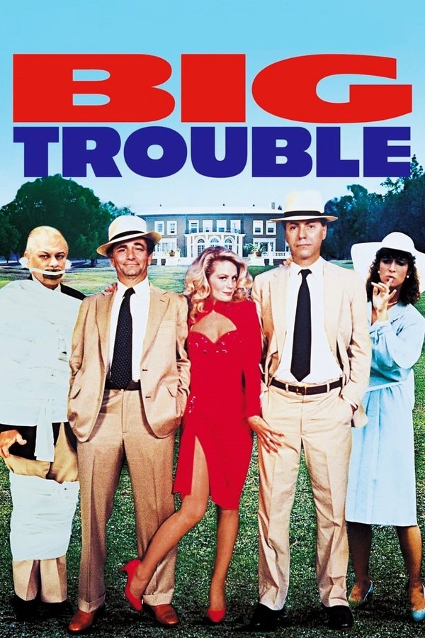 Capa do filme Um Grande Problema / Problemas em Dobro