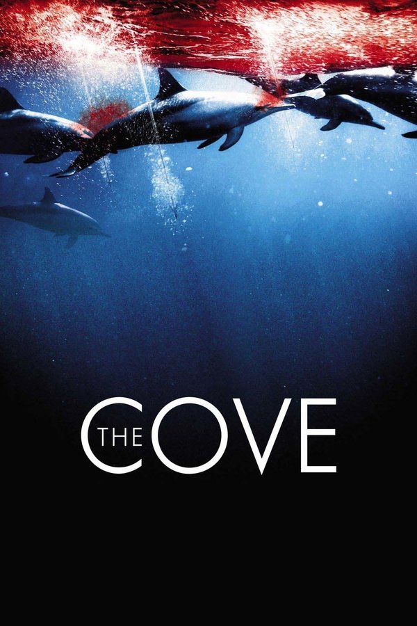 Capa do filme A Enseada